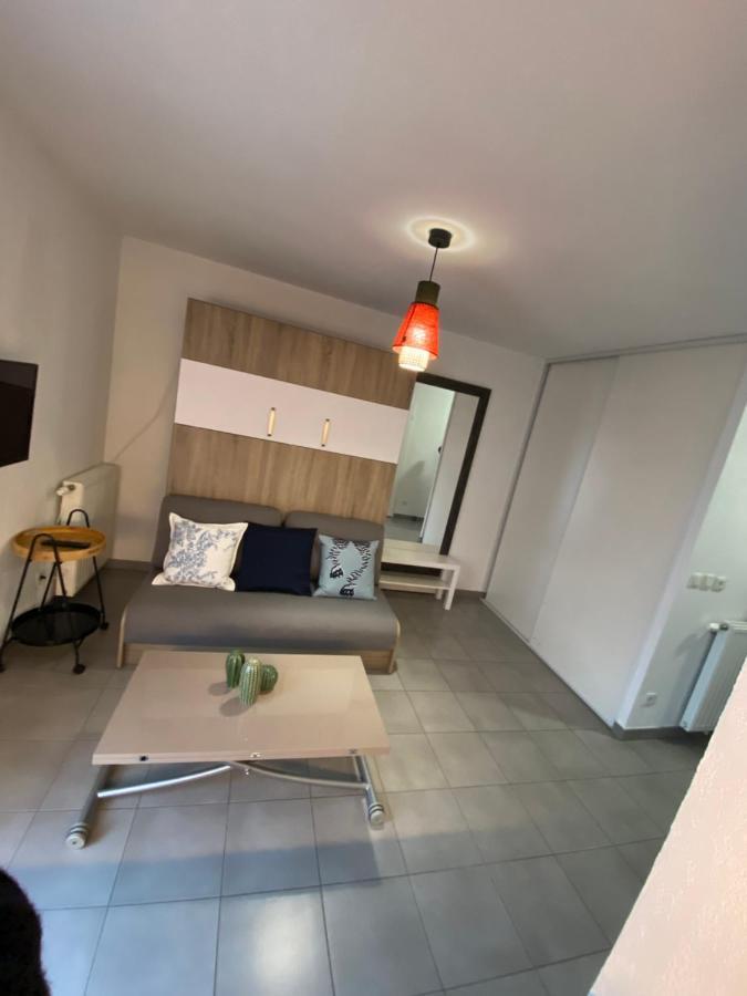 Studio Chic Little Boheme Proche Hopitaux, 15 Mn Du Centre Lyon Kültér fotó
